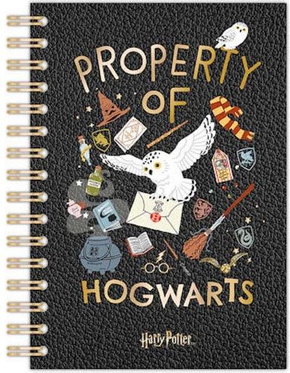 Σημειωματάριο Blue Sky Studios Harry Potter Wiro Σπιράλ A5