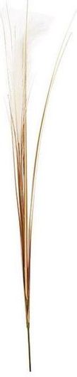 Φυτό Pampas 115x35x35cm