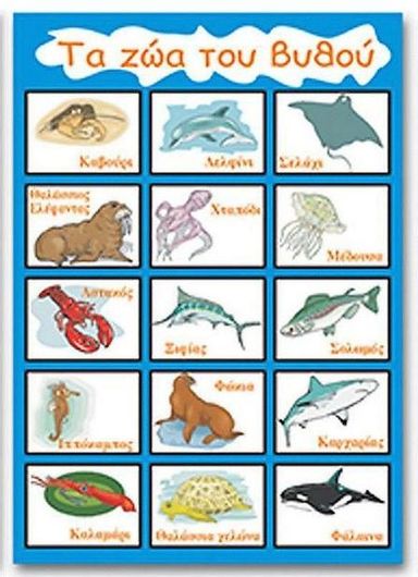 Παιδική Αφίσα Next Εκπαιδευτική Τα Ζώα του Βυθού 50x70cm