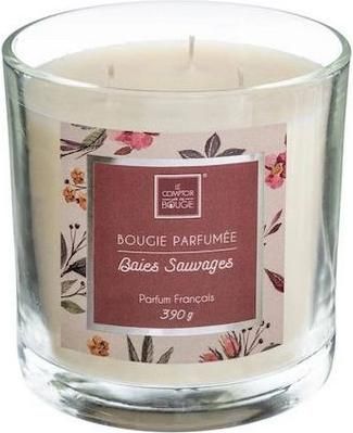 Αρωματικό Κερί Atmosphera σε Βάζο Loys Berries 10x10cm