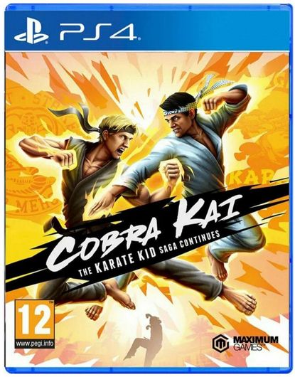 Cobra Kai The Karate Kid Saga Continues - PS4 Game