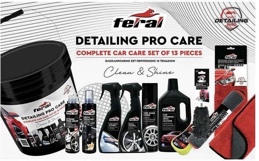 Σετ Καθαρισμού Feral με Κουβά Detailing Pro για Αμάξωμα 20lt 15τμχ