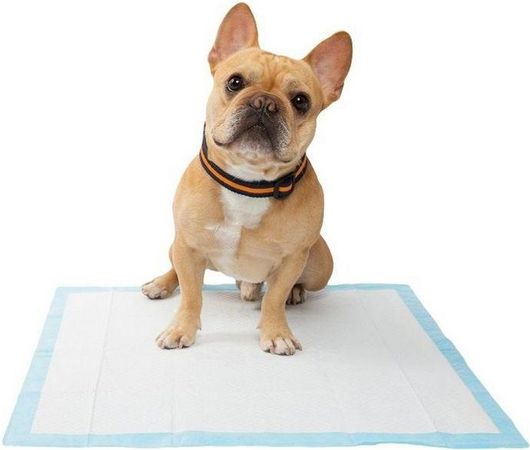 Επιδαπέδια Πάνα Σκύλου 60x45cm 50τμχ