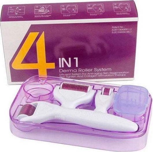 Συσκευή Περιποίησης Προσώπου DRS 4 in 1 Derma Roller System for Anti-aging & Regeneration Skin