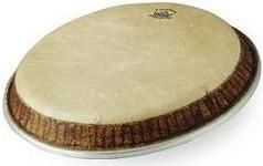 Δέρμα για Congas Remo Fiberskyn Conga Head 12"