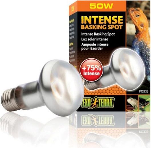 Λάμπα για Ενυδρεία Ερπετών Exo Terra Intense Basking Spot 50W