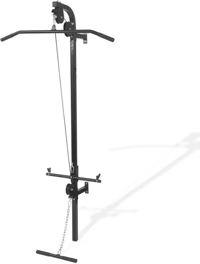 Πολυόργανο Γυμναστικής vidaXL 91369 Επιτοίχιο με 2 Τροχαλίες Μαύρο