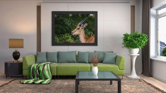 Πίνακας Μια Γαζέλα με Μακριά Κέρατα Που Στέκεται Μπροστά Από Δέντρα 80x50cm