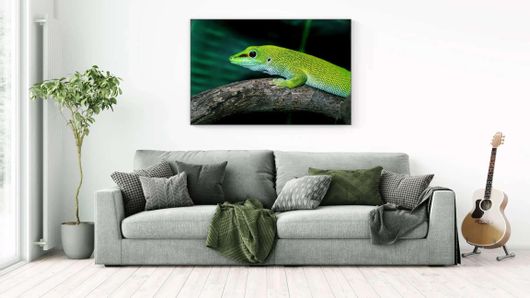 Πίνακας Μια Πράσινη Σαύρα Που Κάθεται Πάνω Από Ένα Κλαδί Δέντρου 80x50cm