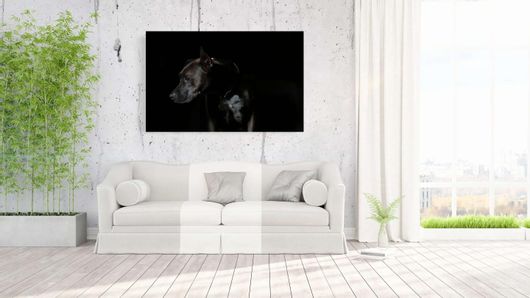 Πίνακας Κοντινό Πλάνο Ενός Σκύλου στο Σκοτάδι 100x70cm