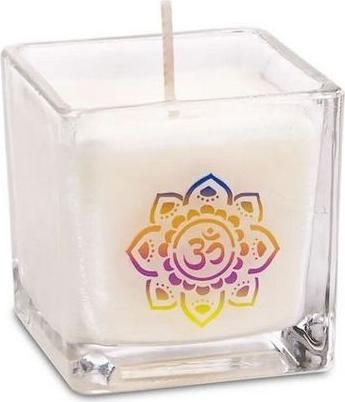Αρωματικό Κερί σε Βάζο Ελαιοκράμβης Jasmine Musk 260gr 