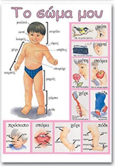 Παιδικές Αφίσες Next Εκπαιδευτική Το σώμα μου 50x70cm Σετ 3τμχ