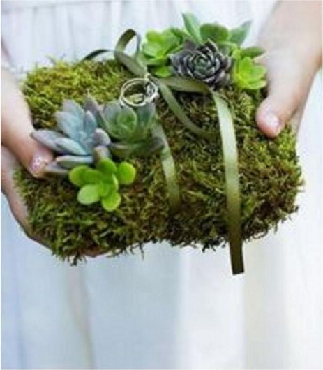 Βεροθήκη για Αρραβώνα Γάμο με Βρύα 25cm