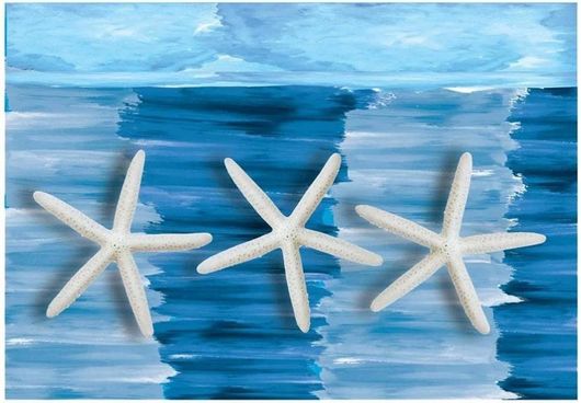 Σουπλά μιας Χρήσης Χάρτινα Σετ 500τμχ 30x40cm με Σχέδιο Αστερίες Μπλε