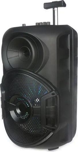 Σύστημα Karaoke με Ενσύρματo Μικρόφωνo ZQS12106S Μαύρο