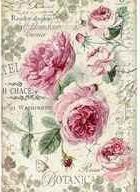 Ριζόχαρτο Decoupage Stamperia A4 Botanic English Roses