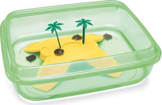 Ενυδρείο Ερπετών Imac Ninja Χελωνιέρα 50x40x15cm Πράσινο