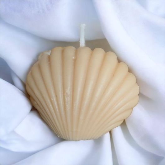 Αρωματικό Κερί 9495-01 Αχιβάδα Χειροποίητο Σόγιας