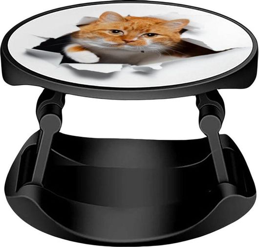 Pop Holder koupakoupa Cat Cracked