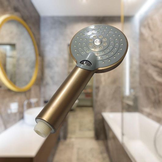 Τηλέφωνο Ντουζ Lion-22 Χρυσό Μπρονζέ