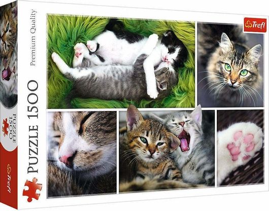 Puzzle Just Cat Things Collage 2D 1500 Κομμάτια