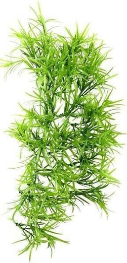 Αξεσουάρ για Ενυδρείο Ερπετών Hobby Terraristik Πλαστικό Φυτό Climber Tropica 37cm