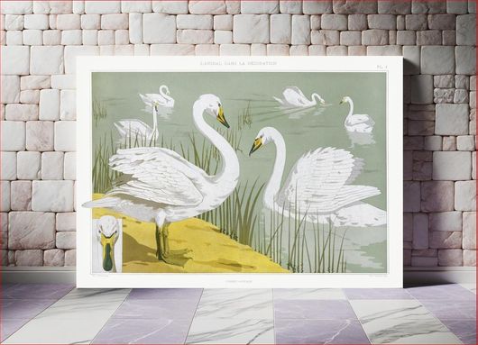 Πίνακας Cygne sauvage from L'animal dans la décoration (1897) illustrated by Maurice Pillard... 180x120
