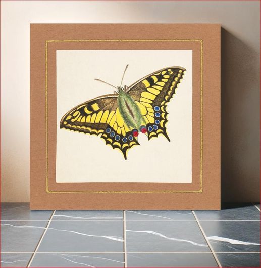 Πίνακας Equites Achivi Machaon Swallowtail (ca. 1820–1839) painting in high by William Wood... 140x140