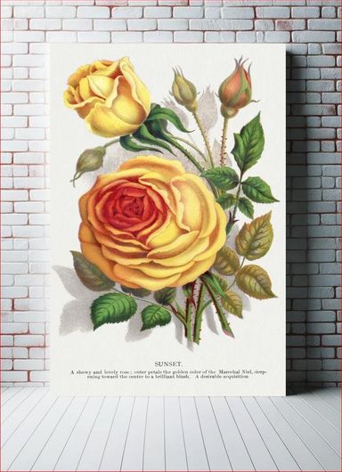 Πίνακας lithograph from Botanical Specimen published by Rochester Lithographing and Printing... 60x90