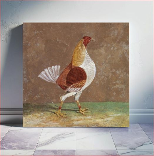 Πίνακας Fighting Cocks: a Pale-Breasted Fighting Cock, Facing Rght (1829) by John Frederick... 60x60