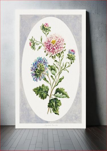 Πίνακας A Collection of Flowers Drawn from Nature: Large Double China Aster (1798) by John... 20x30