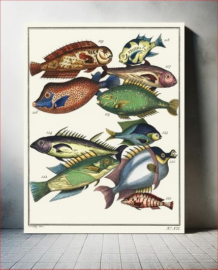 Πίνακας Histoire Generale des Voyages (1767) by J V Schley, a collage of colorful rare exotic... 130x200