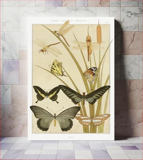 Πίνακας Papillons from L'animal dans la décoration (1897) illustrated by Maurice Pillard Verneuil 120x180