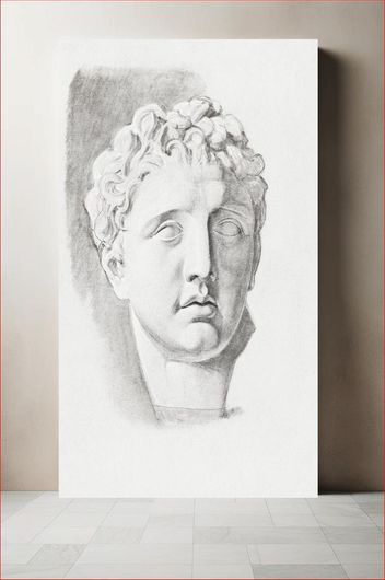 Πίνακας Sculpted male head with wavy hair in chunky pieces (18th-19th century) by Pietro Fancelli 50x80