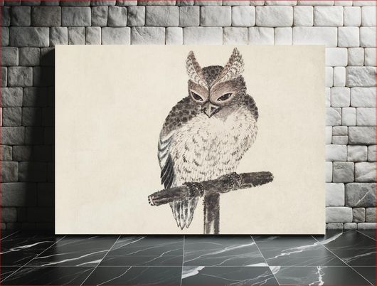 Πίνακας Katsushika Hokusai's owl, from Album of Sketches (1814) vintage Japanese woodblock prints 180x120