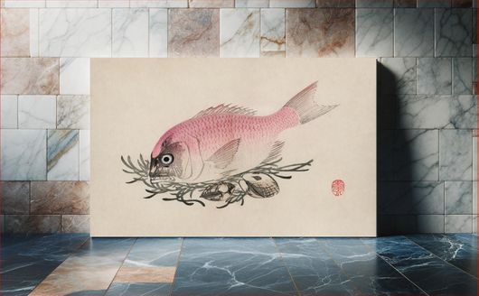 Πίνακας The ukiyo-e illustration of fish and clams by Mochizuki Gyokusen, drawn in the year 1891 30x20