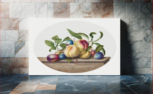 Πίνακας Fruit Arrangement: Peaches and Plums on a Slab of Marble (1742) by Georg Dionysius Ehret 30x20