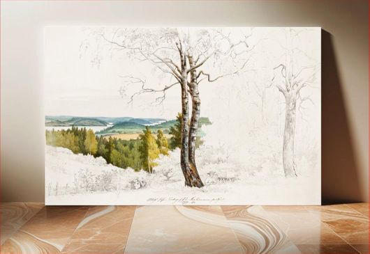 Πίνακας View from jaakkima parsonage over the lake laatokka (1860) painted by Magnus von Wright 80x50