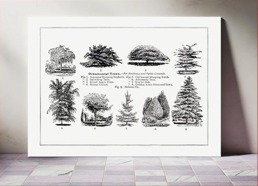 Πίνακας Vintage ornamental tree drawing. The Open Door to Independence (1915) by Thomas E. Hill 90x60