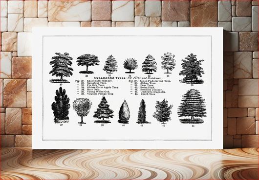 Πίνακας Vintage ornamental tree drawing. The Open Door to Independence (1915) by Thomas E. Hill 170x115