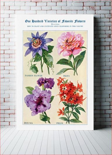 Πίνακας Flower watercolor illustration. The Open Door to Independence (1915) by Thomas E. Hill 80x120