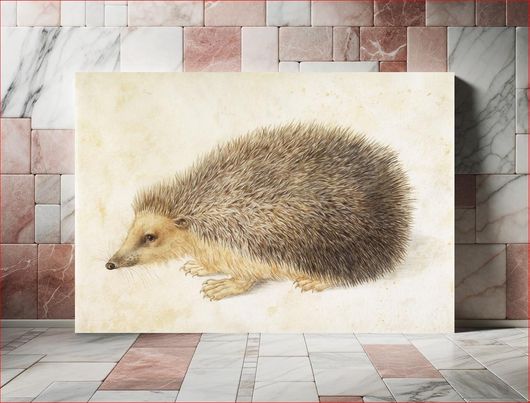 Πίνακας A Hedgehog (Erinaceus roumanicus) (1584), vintage animal illustration by Hans Hoffmann 100x70