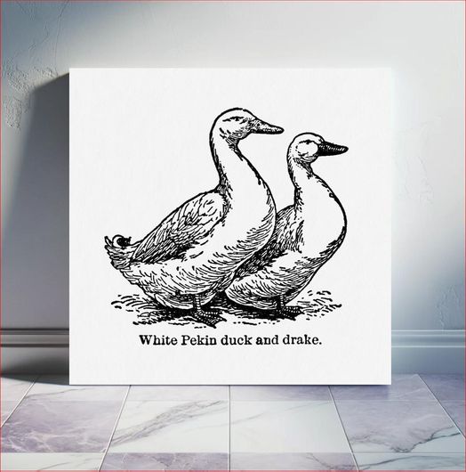 Πίνακας Vintage duck & drake drawing. The Open Door to Independence (1915) by Thomas E. Hill 100x100