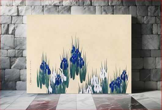 Πίνακας Japanese irises (late 19th century) vintage ink and color on paper by Sakai Hōitsu 40x30