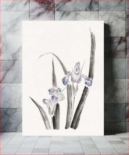 Πίνακας Katsushika Hokusai’s Japanese iris flower, Album of Sketches (1760–1849) paintings 80x120