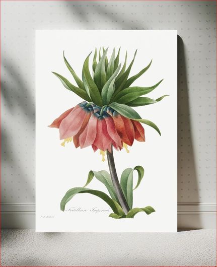 Πίνακας Crown Imperial Fritillary (1827) by Pierre-Joseph Redouté and Henry Joseph Redouté 115x170