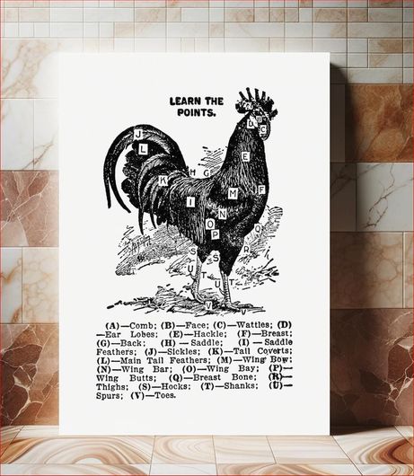 Πίνακας Vintage chicken drawing. The Open Door to Independence (1915 ...