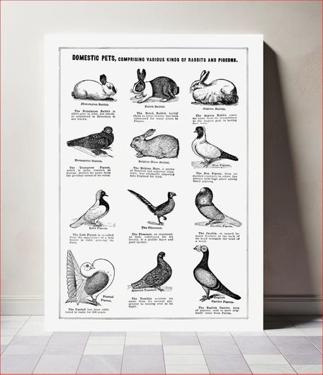 Πίνακας Domestic pet poster. The Open Door to Independence (1915) by Thomas E. Hill 115x170