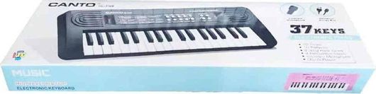 Παιδικό Αρμόνιο Luna Toys Ηλεκτρονικό με 37 Πλήκτρα Μικρόφωνο & USB για 3+ Ετών 