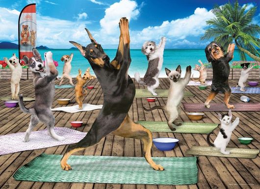 Puzzle XL Yoga Spa by Yoga Dogs Studio 2D 500 Κομμάτια